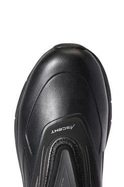 Sale ariat Ascent H2O dames vanntette jodhpurstøvler Black