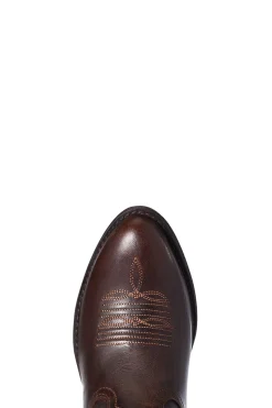 Best ariat Women SassyBrown