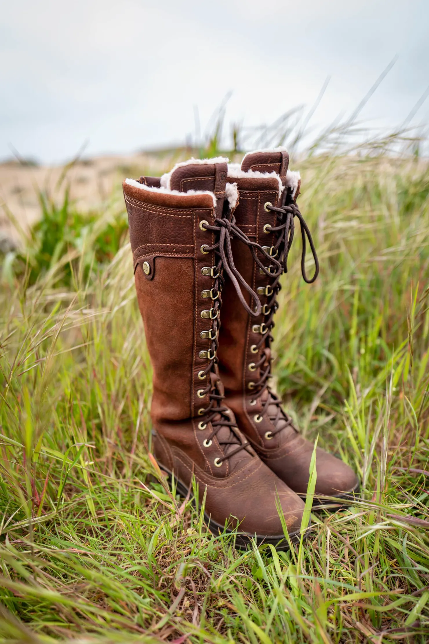 Outlet ariat Wythburn Tall vanntette støvler for kvinner DarkBrown