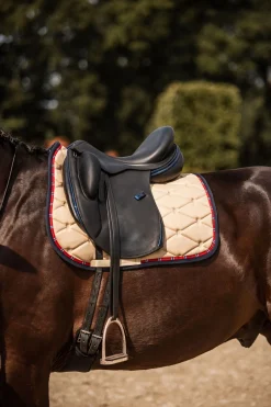 bvertigo B Vertigo Amory dressursjabrak med brodert monogram WeatheredTeakBeige