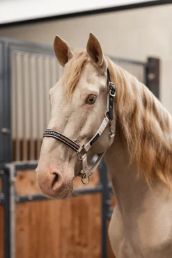 bvertigo B Vertigo Empowerment Field-Safe grime Moonbeam