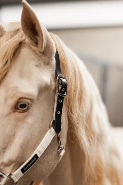 bvertigo B Vertigo Empowerment Field-Safe grime Moonbeam