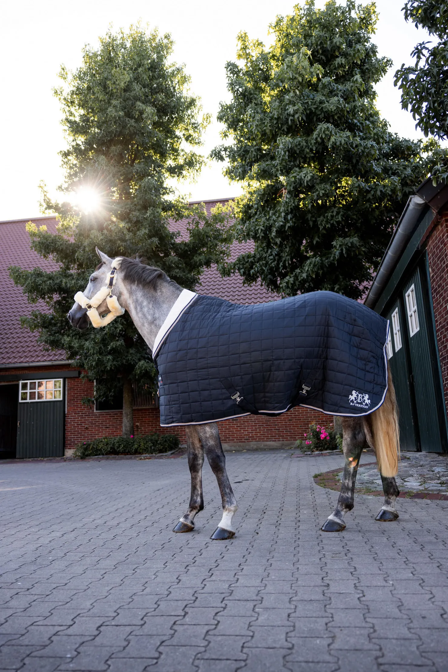 Sale bvertigo B Vertigo Theo stalldekken, 150 gram DarkNavy