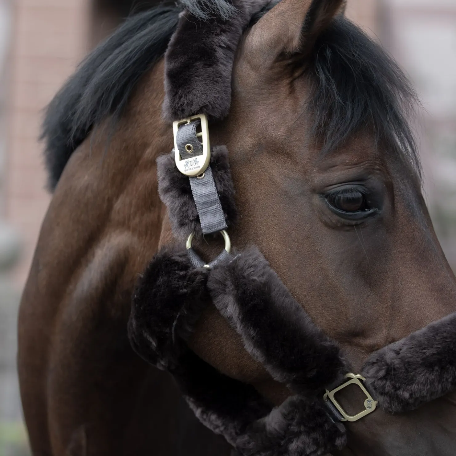 Discount bvertigo B Vertigo Tremblant grime med saueskinn Brown