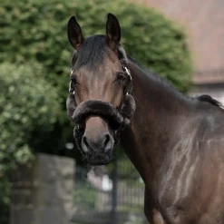 Discount bvertigo B Vertigo Tremblant grime med saueskinn Brown