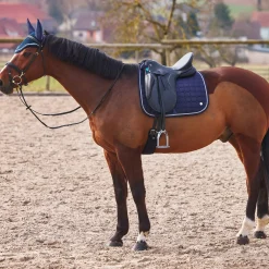 Sale bvertigo B Vertigo Zurich dressursjabrak DarkNavy