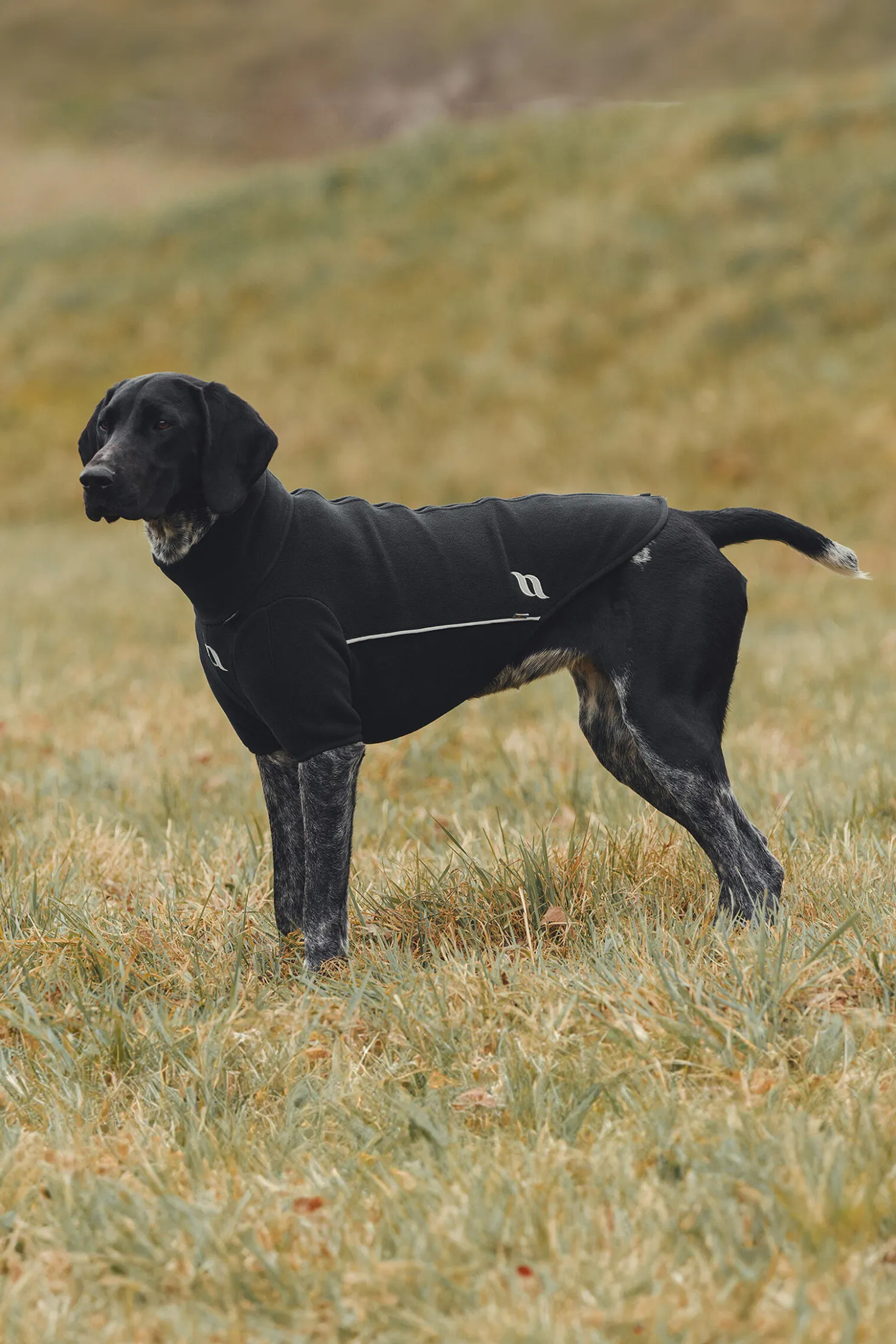 Hot backontrack Back on Track Cassie allværsgenser, 25-30 cm Black