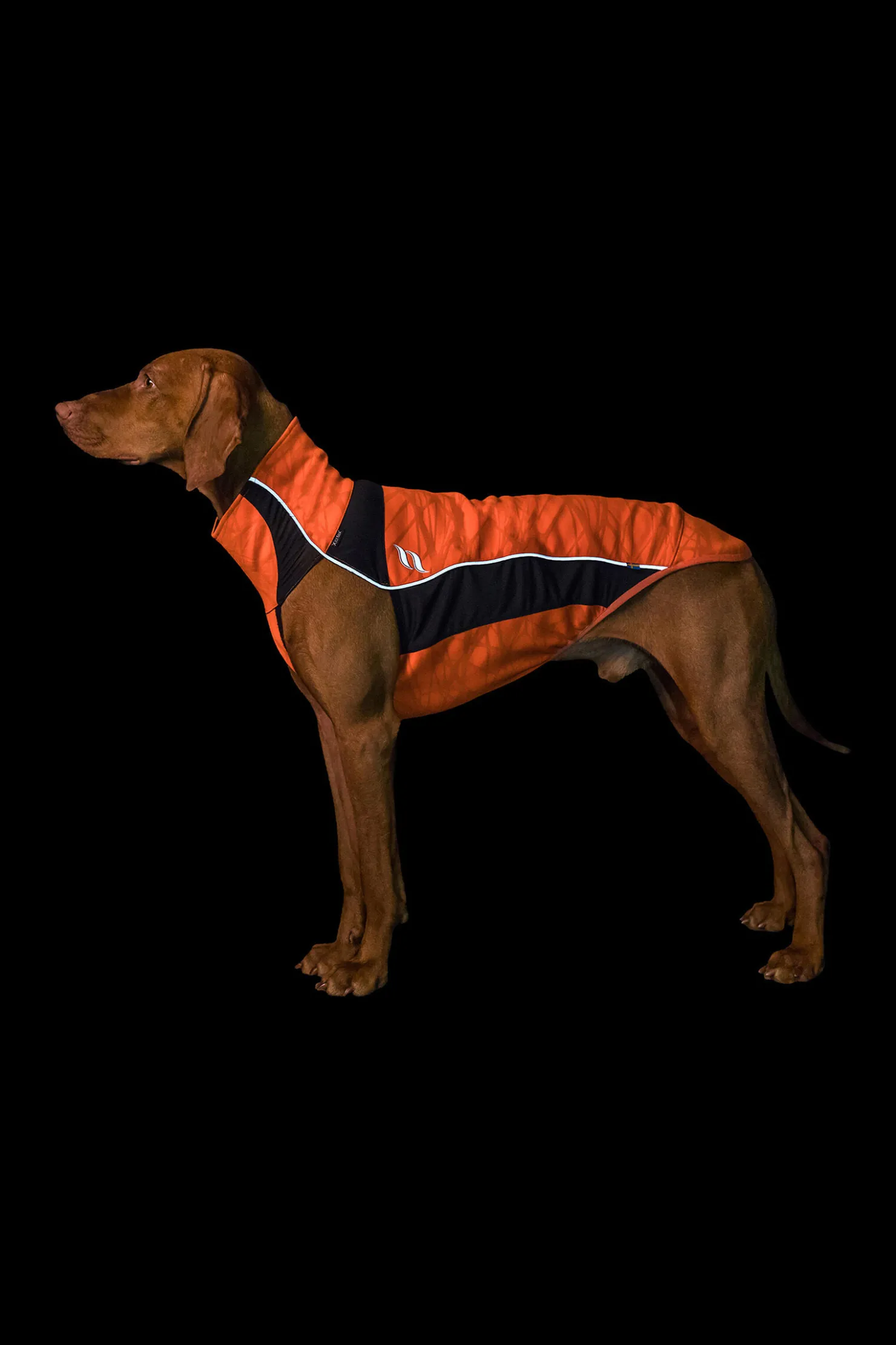 Sale backontrack Back on Track Eddie High-Visibility genser, 40-45 cm OR/B