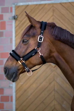 Outlet backontrack Back on Track Hace kolleksjonen, grime Black/Rose