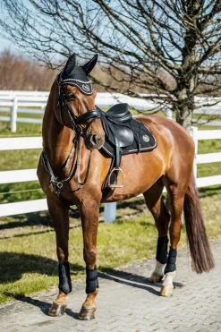 Outlet backontrack Back on Track Haze-kolleksjonen, sprangsjabrak Black/Rose