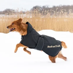 Hot backontrack Back on Track hundedekken (63-91) Black