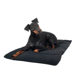 Discount backontrack Back on Track hundeteppe Black