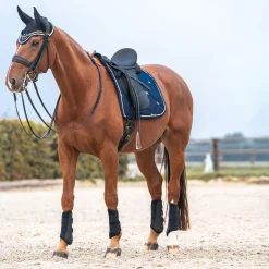 Sale backontrack Back on Track Night Collection sjabrak, dressur BlueNights