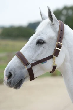 Clearance bucas Comfort Grime Brown/Brown