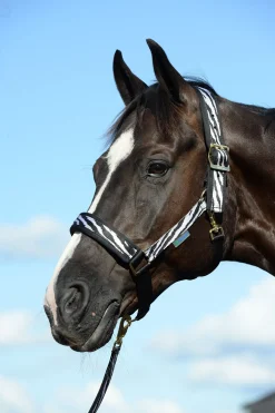 Discount bucas Comfort grime Black/White