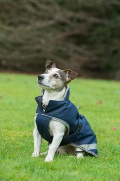 Outlet bucas Freedom Hundedekken, 50g (30-45 cm) DarkBlue/Silver