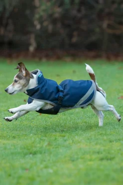 Outlet bucas Freedom Hundedekken, 50g (30-45 cm) DarkBlue/Silver