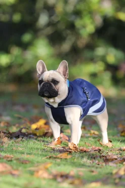 Outlet bucas Freedom Hundedekken, 50g (30-45 cm) DarkBlue/Silver