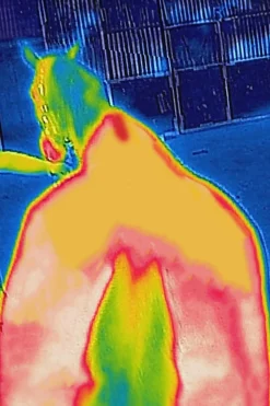 Best bucas Therapy cooler-dekken, 0 g DarkBlue/Orange