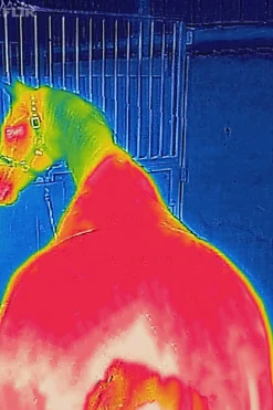 Best bucas Therapy cooler-dekken, 0 g DarkBlue/Orange