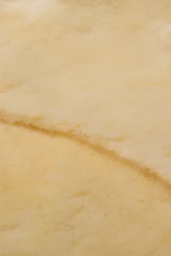 Online christ Shabrack Spesial D BR/OWH/DBR