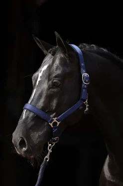 Discount covalliero Dexter grime med fleecefôring DB/AB