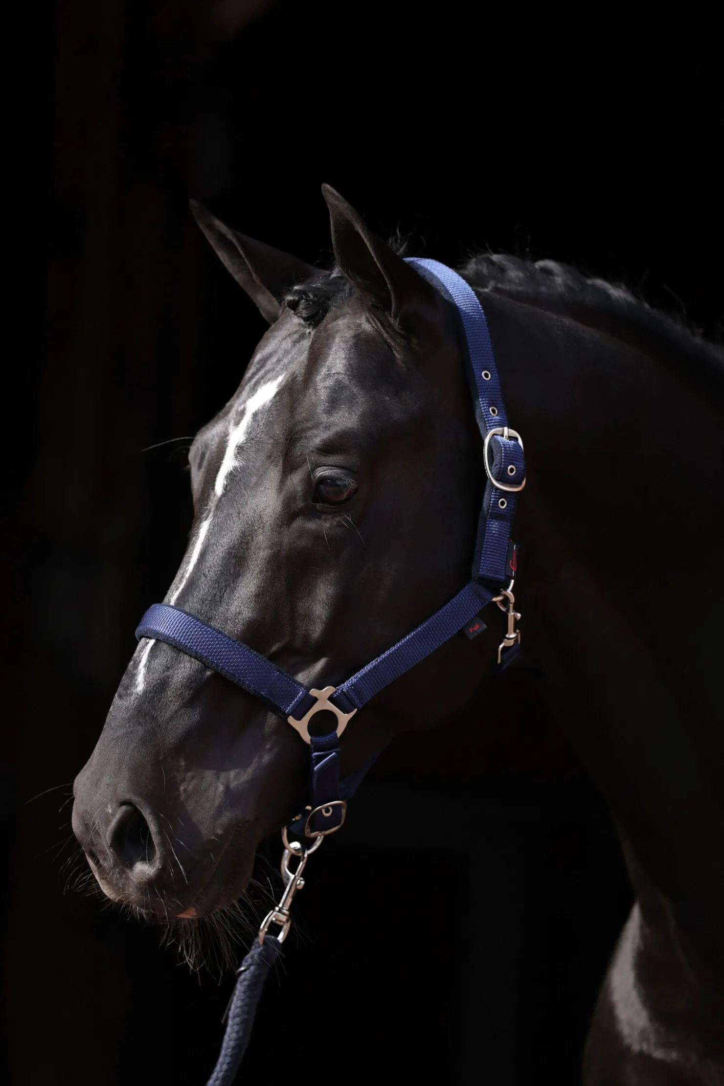 Discount covalliero Dexter grime med fleecefôring DB/AB