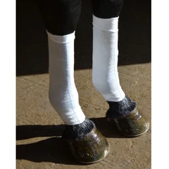 New equinice Equi-N-icE issokker WH/AB