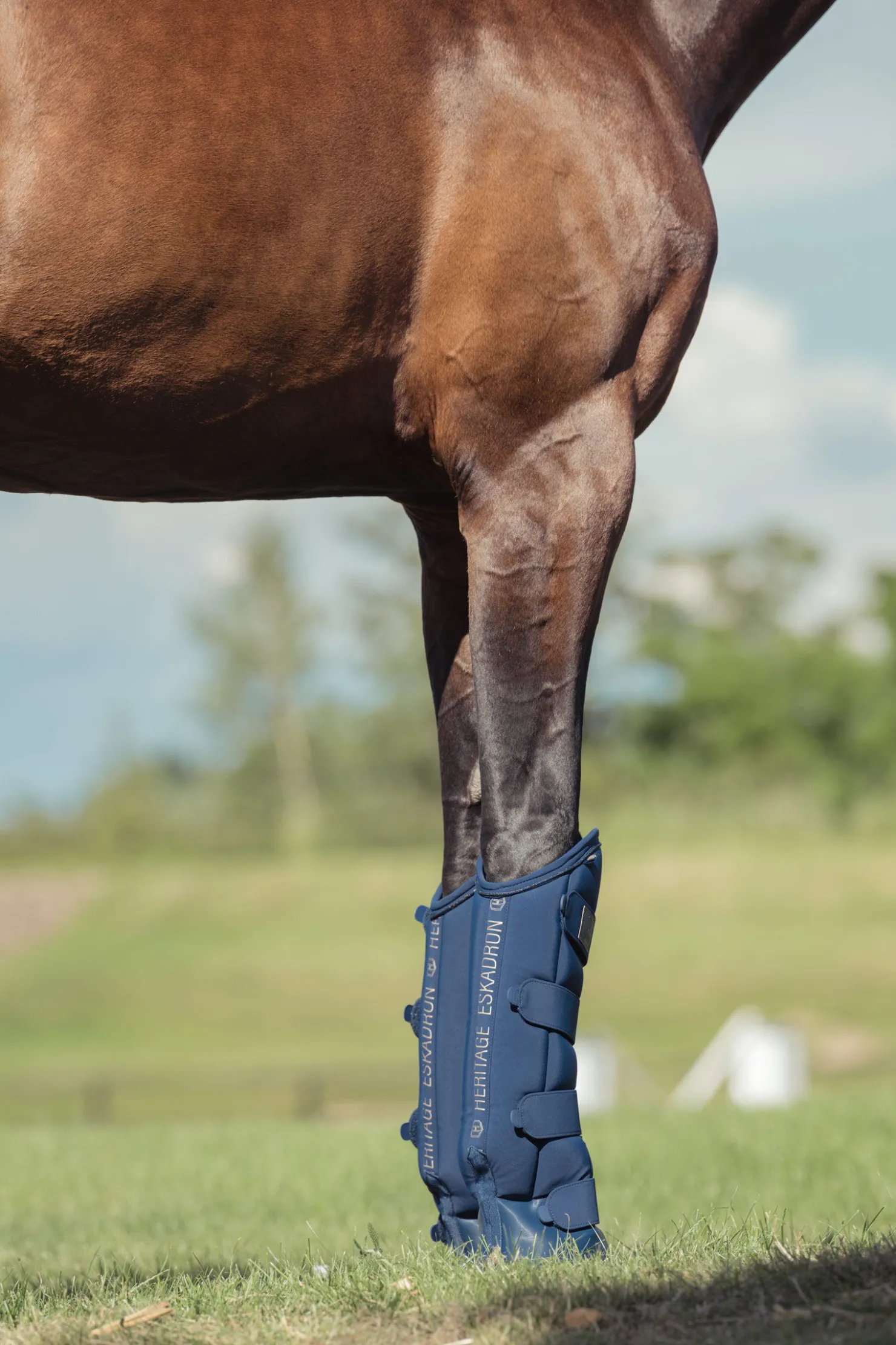 eskadron Heritage AW24 Softshell Transportbelegg TrueBlue