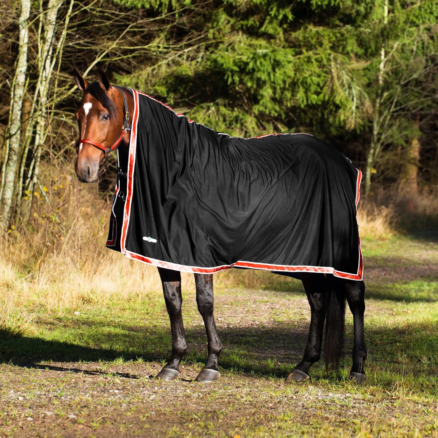 finntack Pro Pritex cooler Black/Red