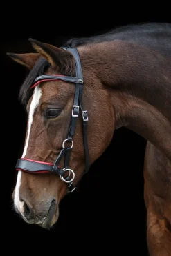 Clearance fra F.R.A. Freedom Riding Articles Aruba bittløst hodelag med tøyler (system 3) Black