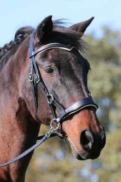 Clearance fra F.R.A. Freedom Riding Articles Aruba bittløst hodelag med tøyler (system 3) Black