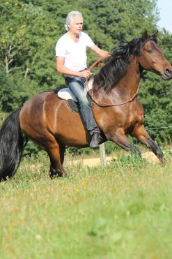 Sale fra F.R.A. Freedom Riding Articles Free barbakpad, full Natural