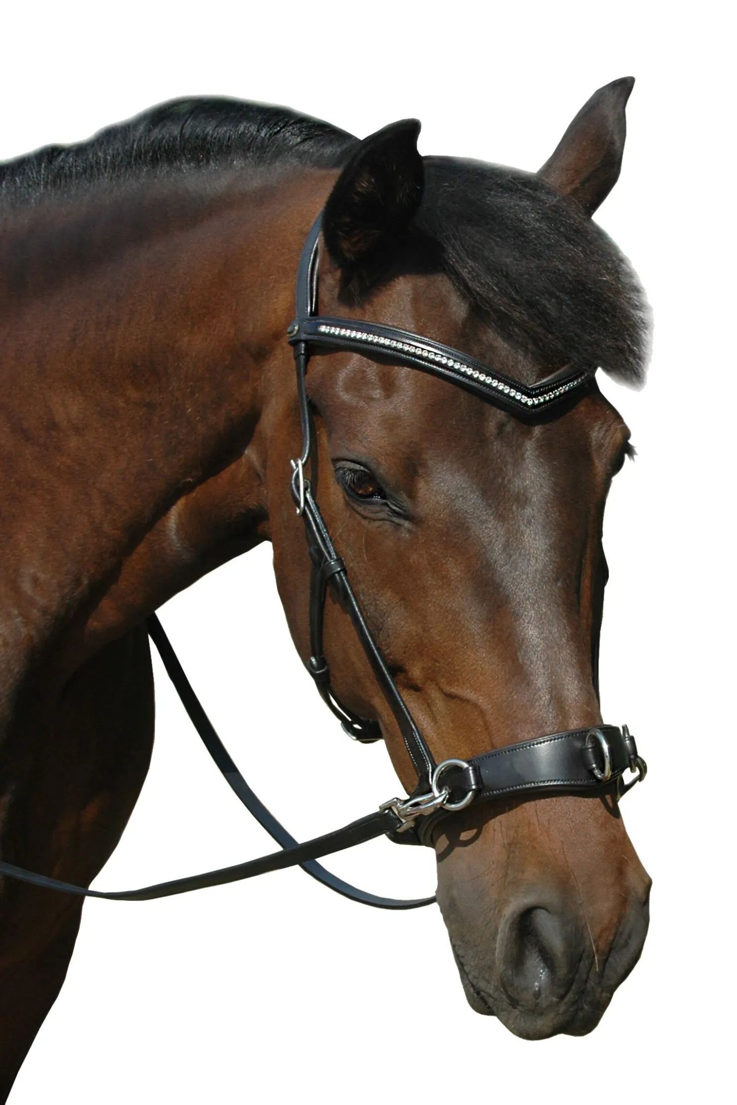 Online fra F.R.A. Freedom Riding Articles Wendy B kapsun, bitless bridle, lærtøyler med klips Black