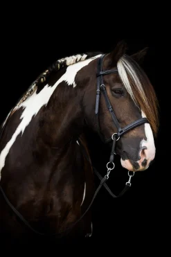 Hot fra F.R.A. Freedom Riding Articles Dietsji bittløst hodelag med tøyler (system 5) Black