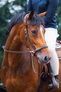 Hot fra F.R.A. Freedom Riding Articles Dandy sidepull med tøyler (system 3) Brown
