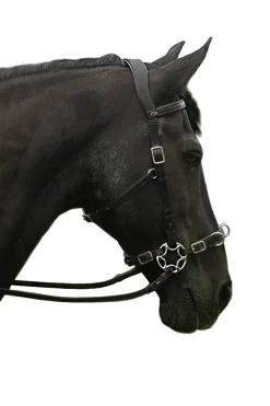 Hot fra F.R.A. Freedom Riding Articles Caval komplett cavemore hodelag (system 2) med saks og tøyler Black