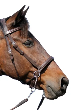 Outlet fra F.R.A. Freedom Riding Articles El Camin bittless bridle (system 5) med myke tøyler Brown