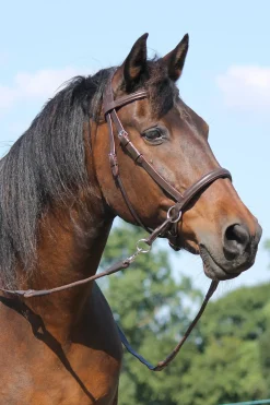 Outlet fra F.R.A. Freedom Riding Articles El Camin bittless bridle (system 5) med myke tøyler Brown