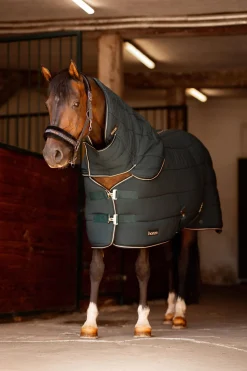 Clearance horze Hals til Glasgow ponnidekken for stall Darkseagreen