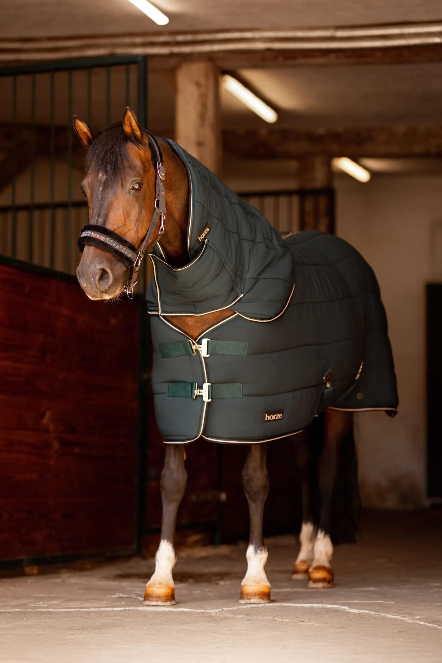 Clearance horze Hals til Glasgow ponnidekken for stall Darkseagreen