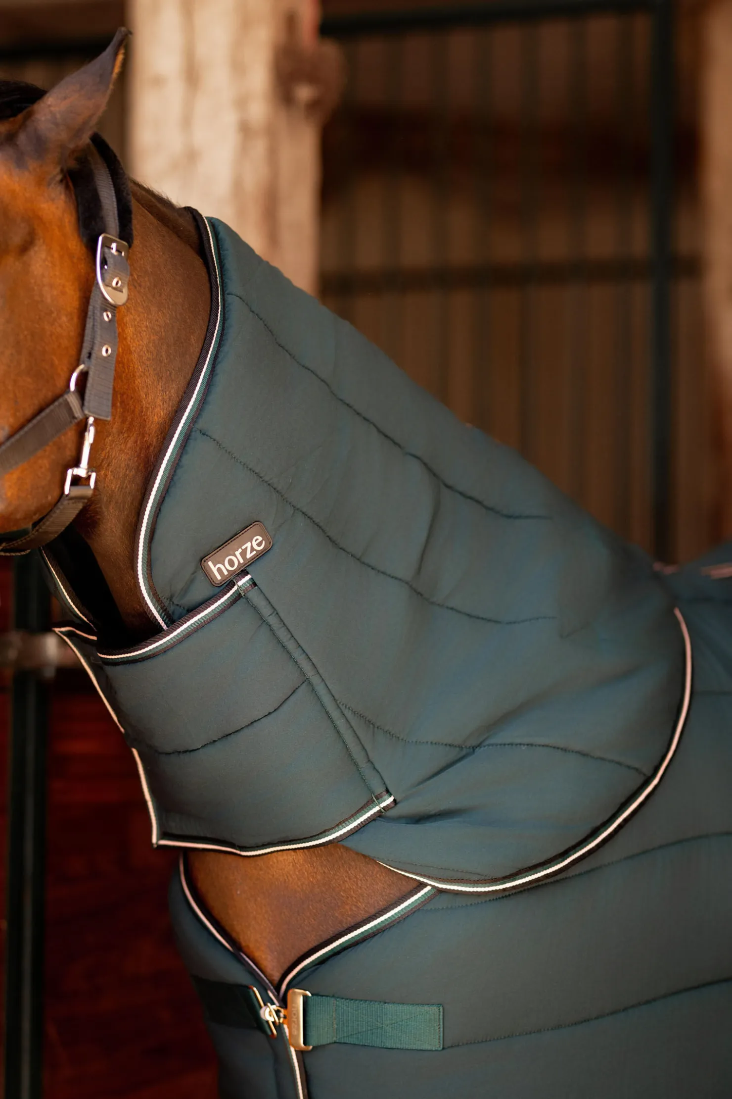 Clearance horze Hals til Glasgow ponnidekken for stall Darkseagreen