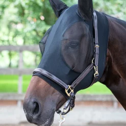 Outlet harryshorse Harry Black