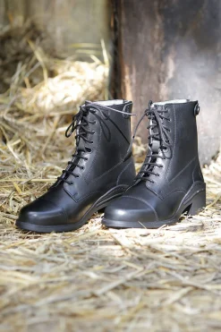 Outlet harryshorse Harry Black