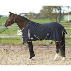 Best harryshorse Harry DB/AB