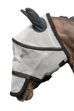 Hot harryshorse Harry White/Black