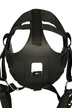 harryshorse Harry Black