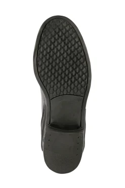 Sale harryshorse Harry Black