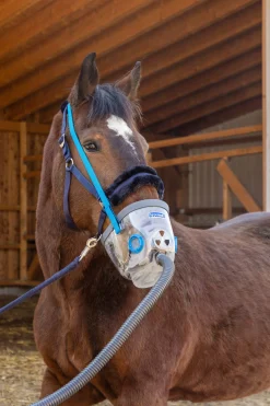 Sale hippomed inhaleringsmaske inkludert tilbehør til AirOne, trekkhest WH/AB