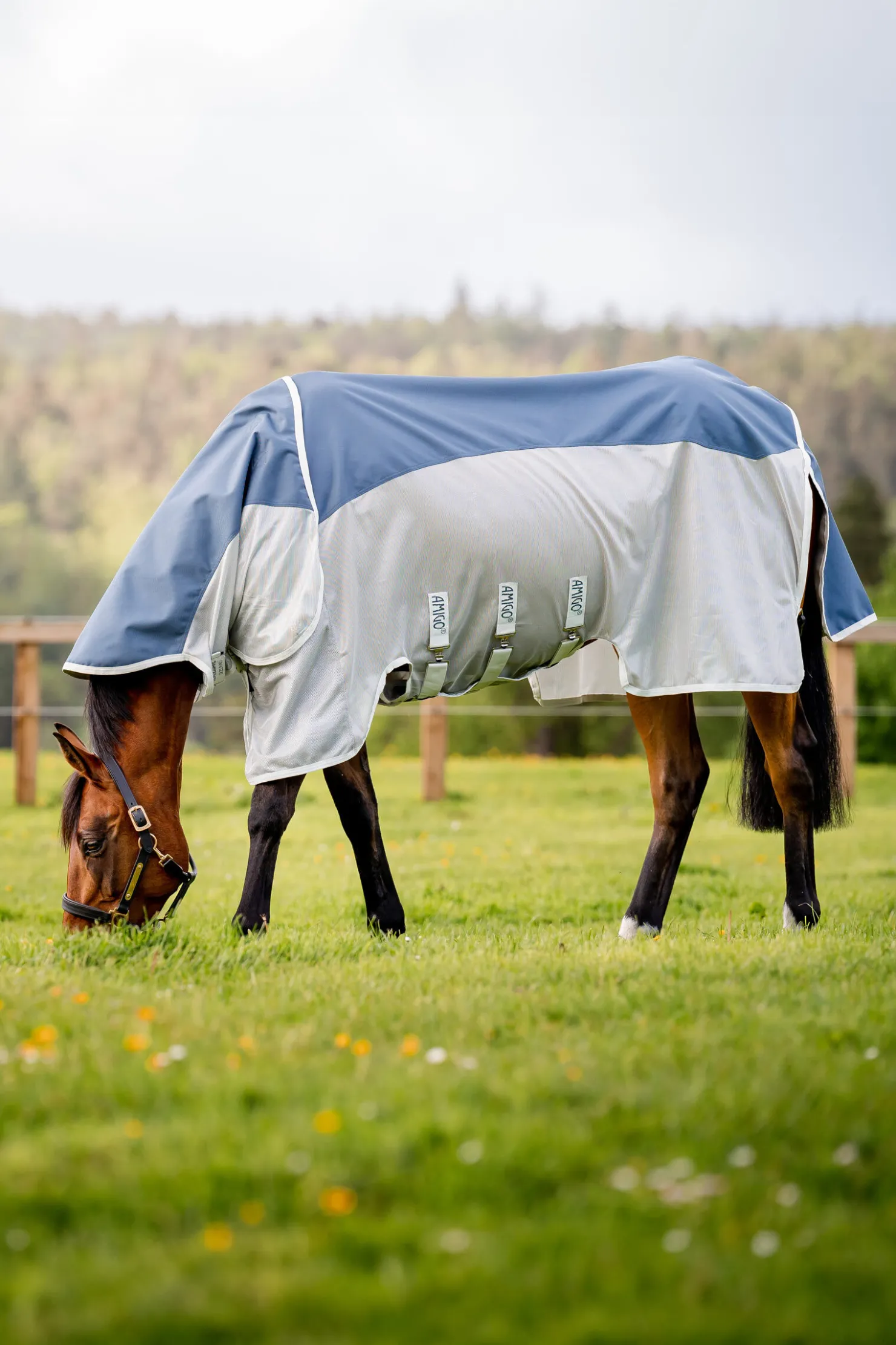 New horseware Amigo AmEco Combi fluedekken Teal/Grey